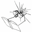 essos74